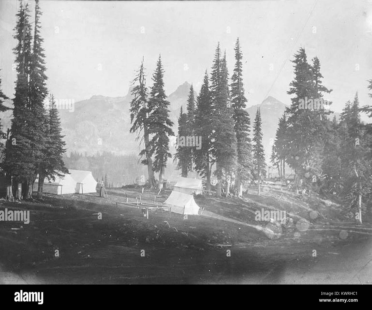 Cette photographie d’environ 1901 représente le camp de Reese dans Paradise Park, montrant des tentes ou des cabanes, la végétation du parc et les infrastructures récréatives au tournant du siècle. Banque D'Images