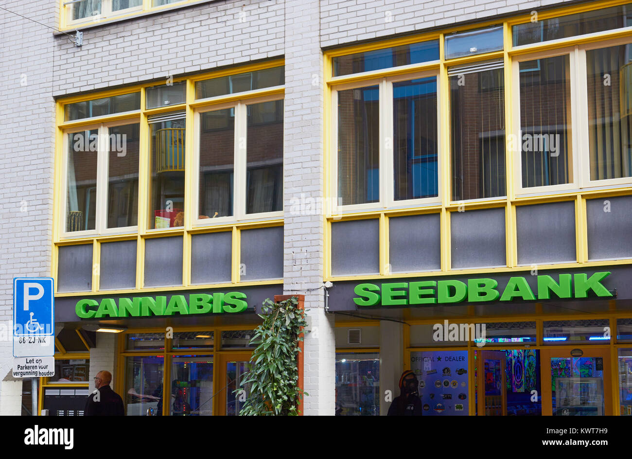 Graines de cannabis store sur Sint Antoniesbree Straat, Amsterdam, Pays-Bas Banque D'Images