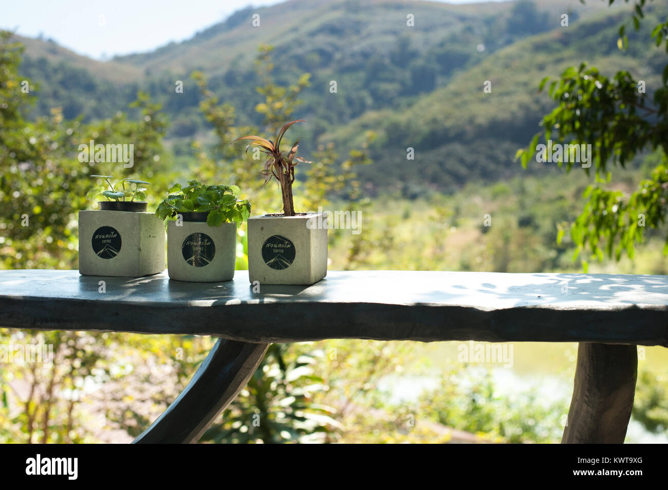 La mer sauvage et à Rayong Banque D'Images