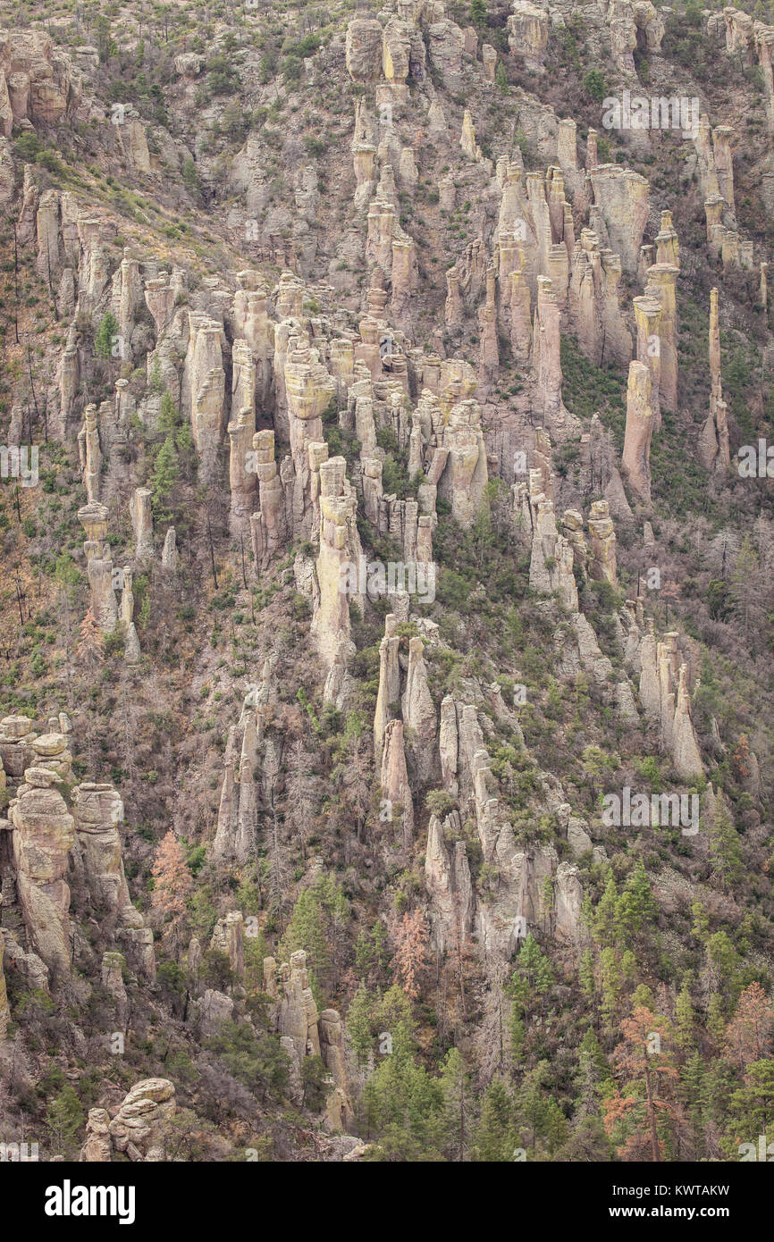 Vue sur Monument National Chiricahua et certaines de ses nombreuses formations rocheuses Hoodoo. Banque D'Images