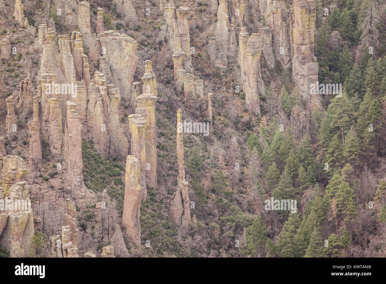 Vue sur Monument National Chiricahua et certaines de ses nombreuses formations rocheuses Hoodoo. Banque D'Images