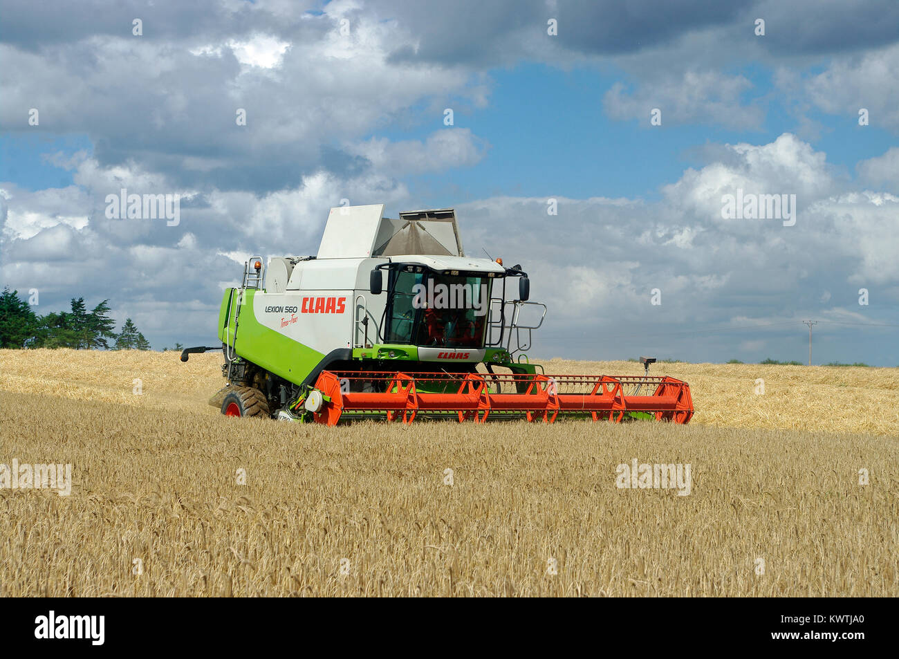 Rendmt Lexion moissonneuse-batteuse Claas 560 Banque D'Images