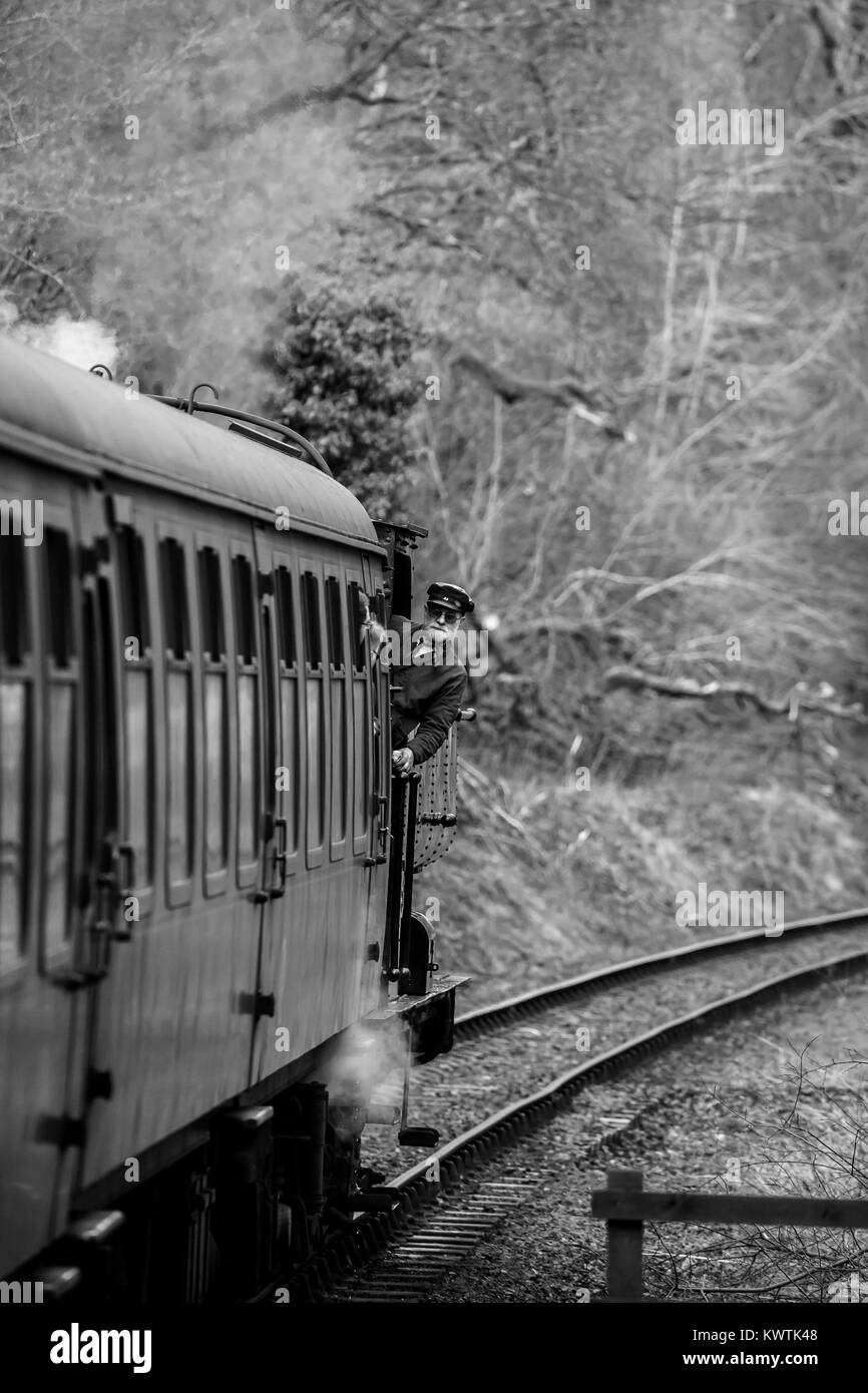 Portrait, tourné en noir et blanc de pilote du moteur incliné vers l'extérieur de la cabine de locomotive à vapeur, vintage en action sur la Severn Valley Railway heritage line. Banque D'Images