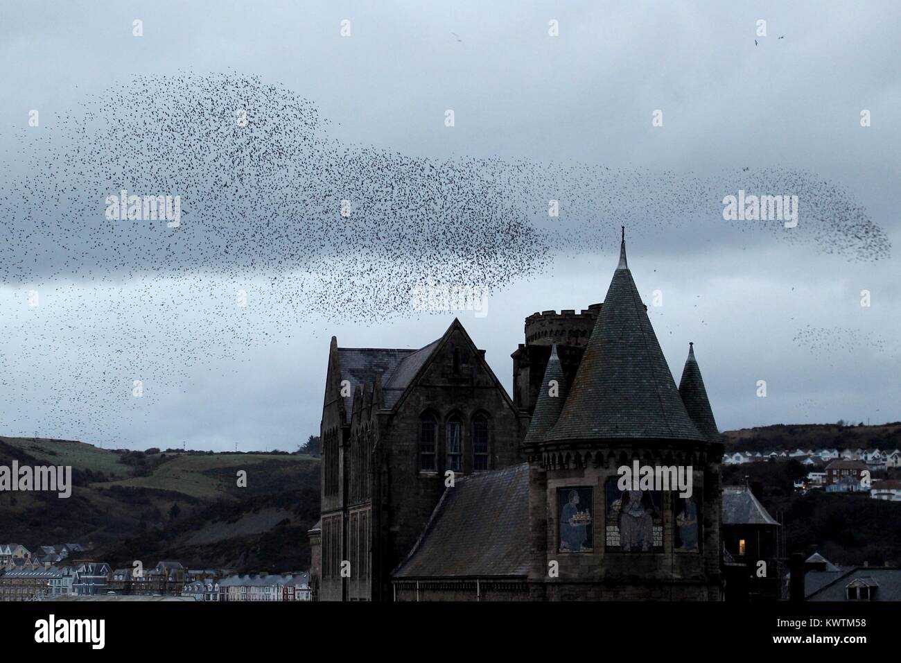 Un nuage d'étourneaux en formation au-dessus de l'antenne de l'ancien collège d'Aberystwyth. Banque D'Images