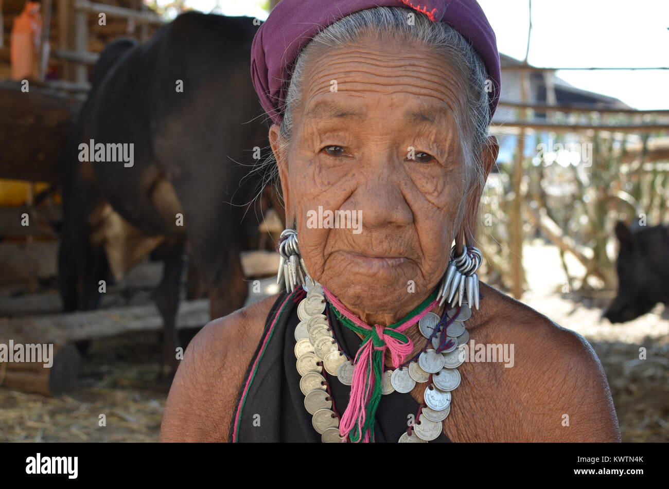 Une vieille femme birmane fixe l'objectif tout en tissant morceaux du bambou pour le mobilier a besoin autour de son bétail stable dans l'État de Kayah, Loikaw, Myanmar. Banque D'Images