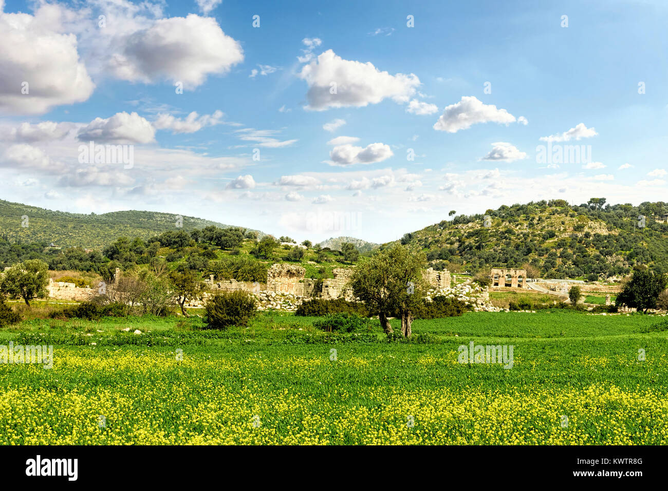 Partie de Patara ruins derrière les champs verts luxuriants de fleurs jaunes sous un ciel bleu avec des nuages blancs Banque D'Images