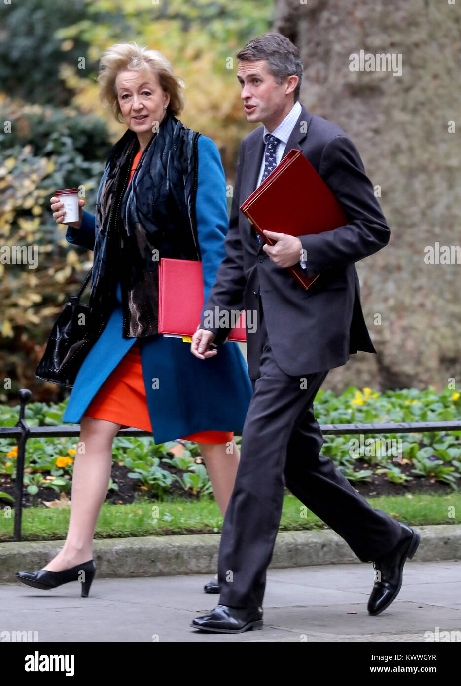 Les ministres ont assister à la réunion hebdomadaire du Cabinet avec le premier ministre au 10 Downing Street avec : Andrea Leadsom, Gavin Williamson Où : London, Royaume-Uni Quand : 05 Déc 2017 Crédit : John Rainford/WENN.com Banque D'Images