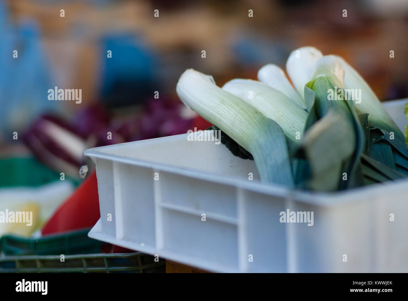 Oignons frais prêt pour la vente au marché local établi. Florence, Italie Banque D'Images