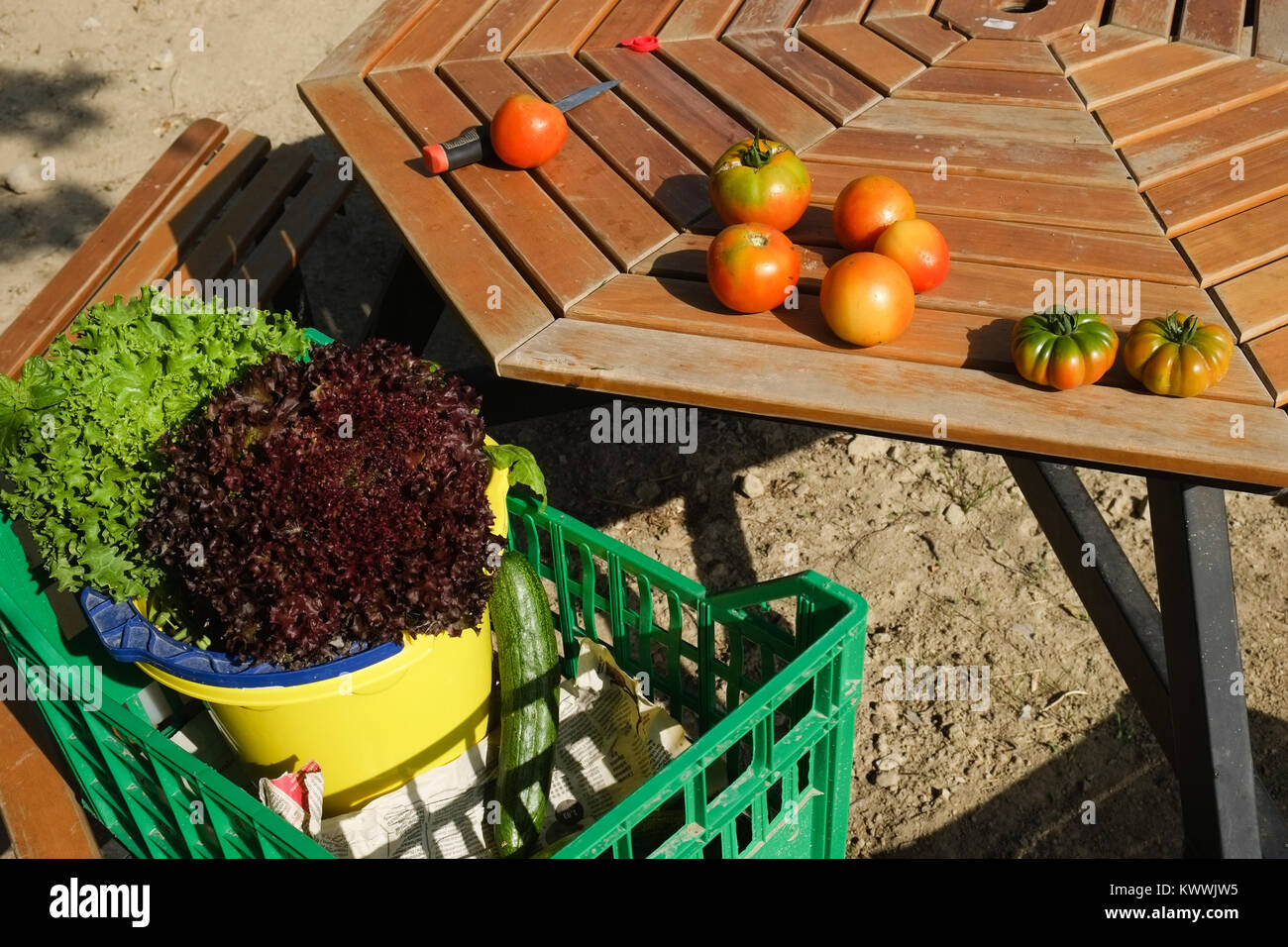Les salades de tomates fraîches et prêtes pour la vente au marché local établi. Santo Stefano, Italie du Sud Banque D'Images