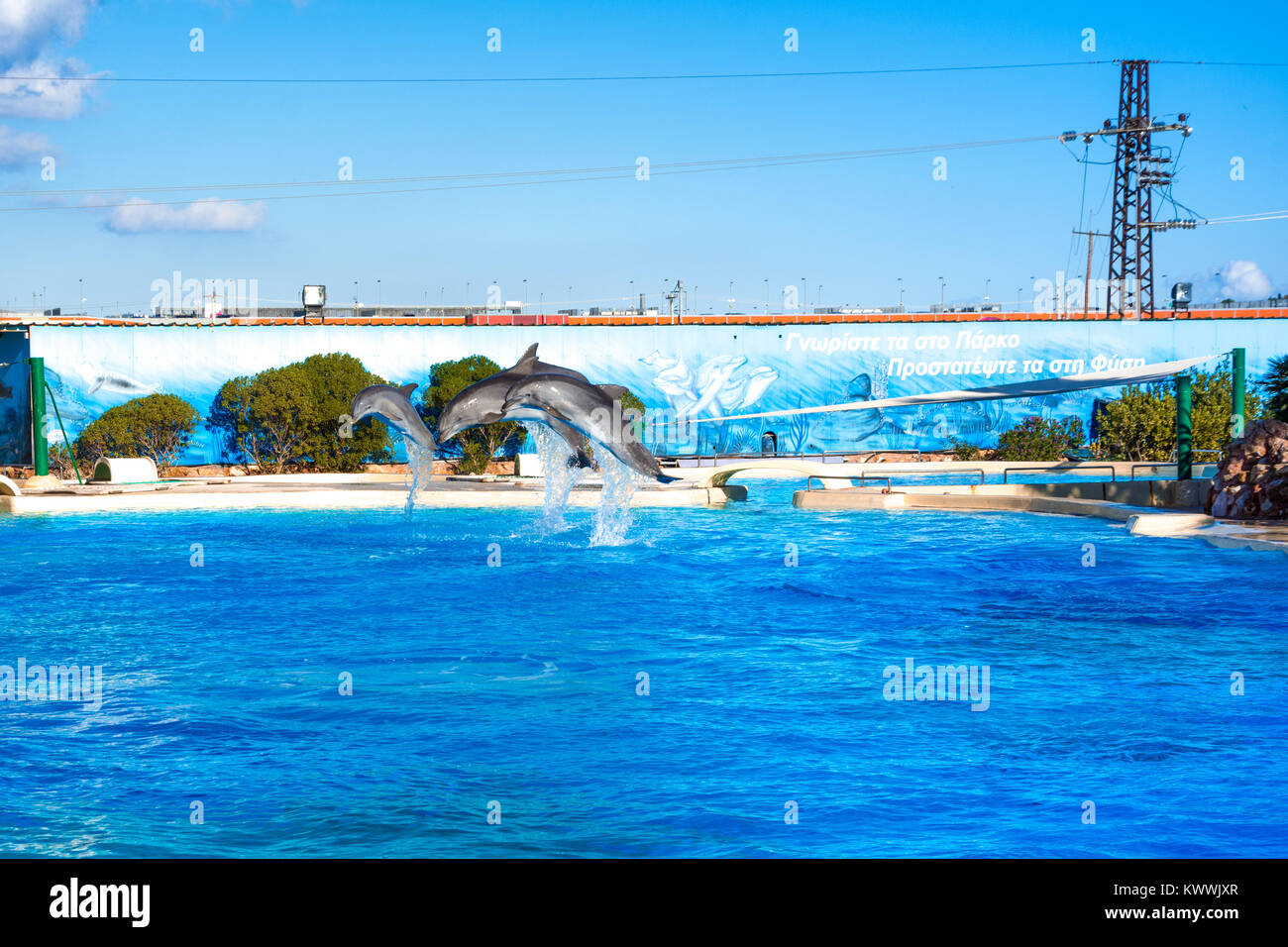 Les dauphins au Zoo de l'Attique, Athènes, Grèce Banque D'Images