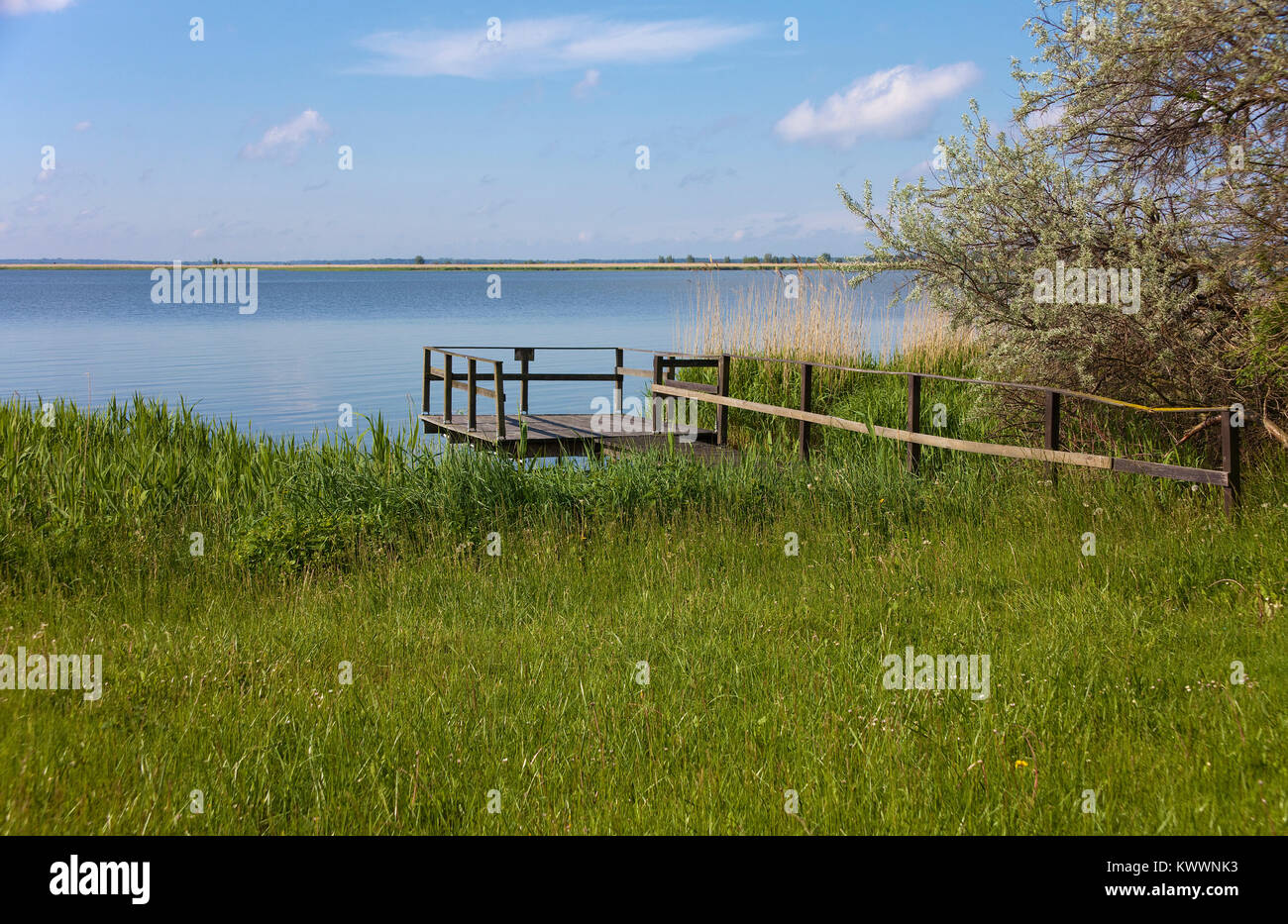 Petite jetée en bois à Saaler Bodden, paysage à Wustrow, Fishland, Mecklembourg-Poméranie-Occidentale, de la mer Baltique, l'Allemagne, de l'Europe Banque D'Images