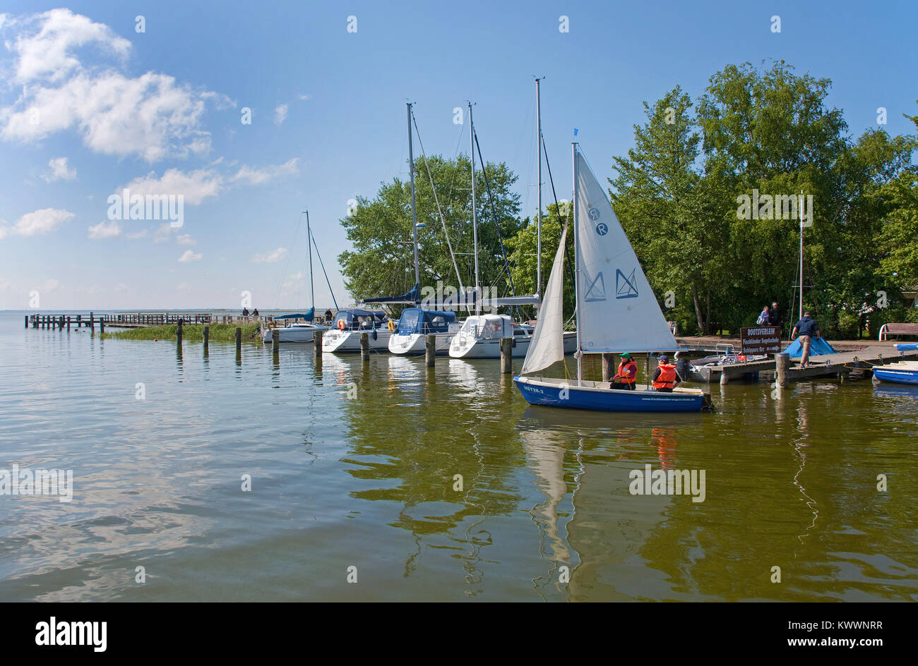 Bateaux à voile dans le port de Wustrow, Fishland, Mecklembourg-Poméranie-Occidentale, de la mer Baltique, l'Allemagne, de l'Europe Banque D'Images