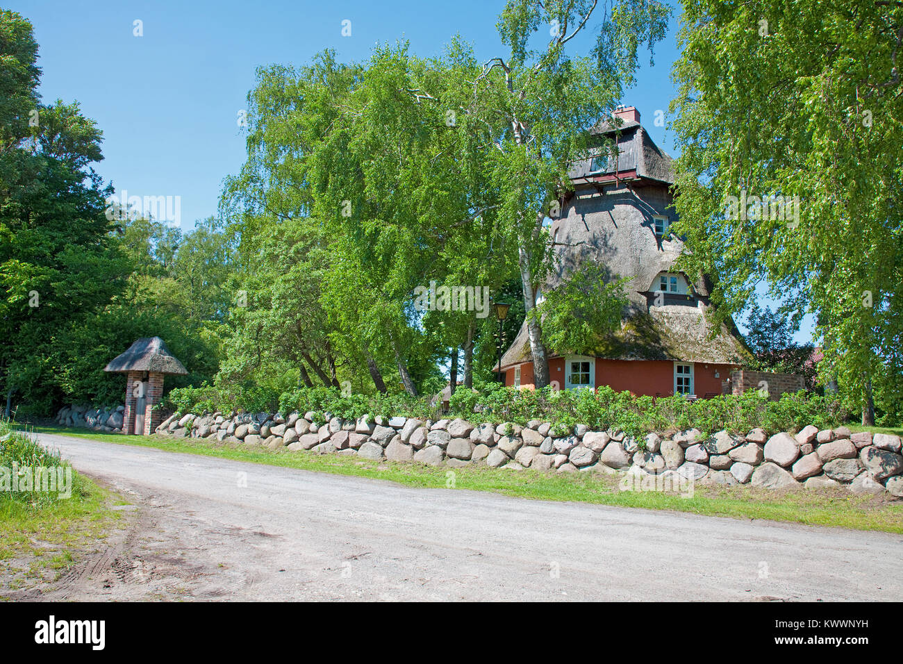 Moulin au toit de chaume, reconstruit pour un coin chambre à Wustrow, Fishland, Mecklembourg-Poméranie-Occidentale, de la mer Baltique, l'Allemagne, de l'Europe Banque D'Images