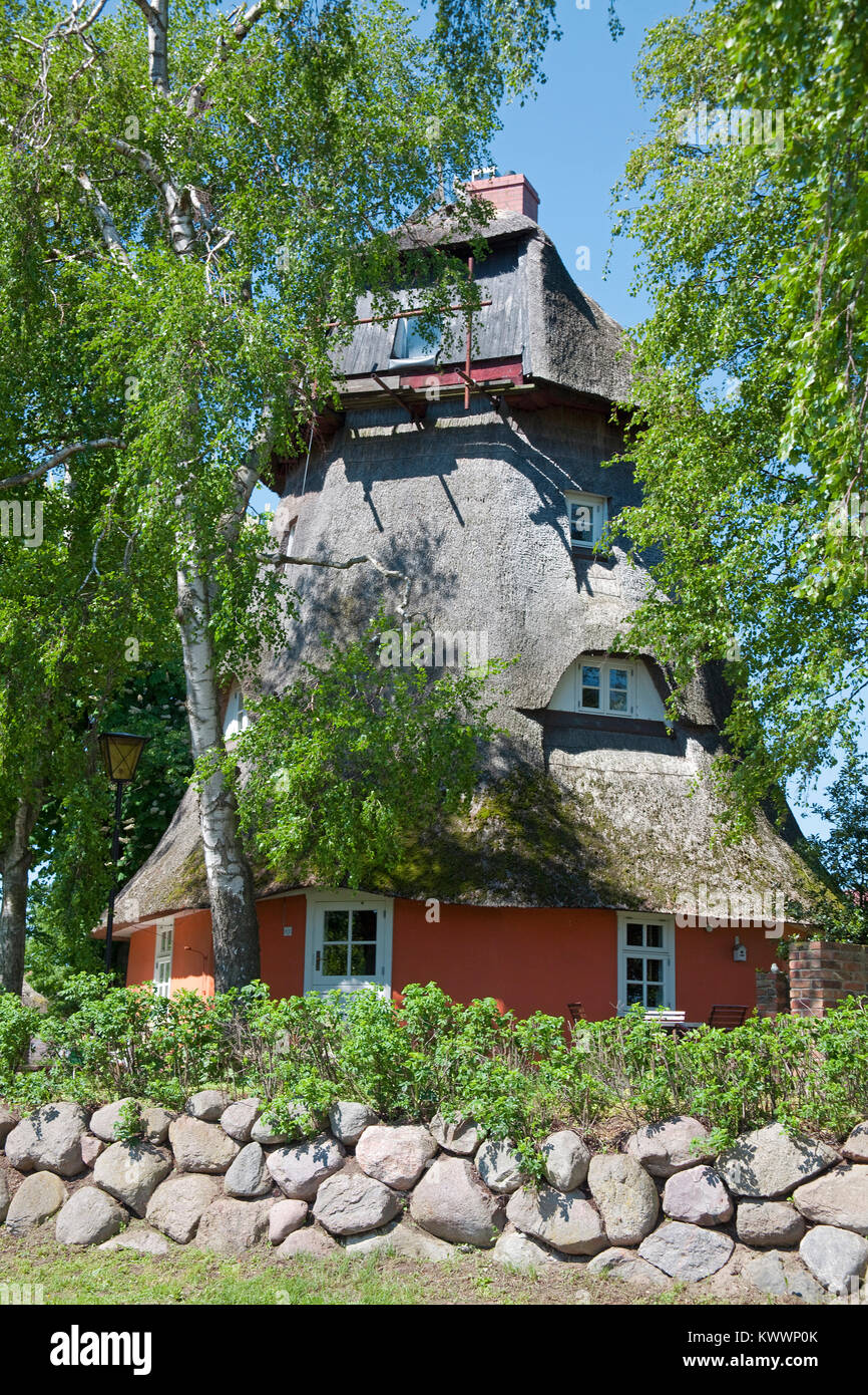 Moulin au toit de chaume, reconstruit pour un coin chambre à Wustrow, Fishland, Mecklembourg-Poméranie-Occidentale, de la mer Baltique, l'Allemagne, de l'Europe Banque D'Images