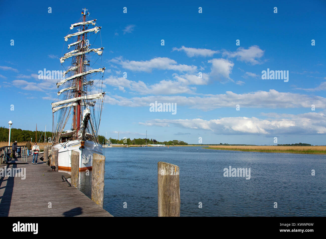 Le navire gréé en carré 'Aphrodite' au port de Zingst, Zingster Strom, Fischland, Mecklembourg-Poméranie-Occidentale, de la mer Baltique, l'Allemagne, de l'Europe Banque D'Images