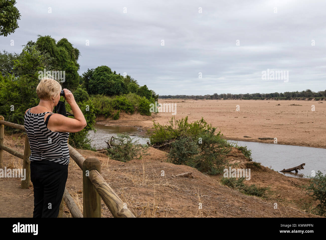 Femme à la recherche avec des jumelles à l'eau du fleuve Limpopo et Luvuvhu à Crooks Corner à la frontière entre l'Afrique du Sud, le Mozambique et le Zimbabwe. L Banque D'Images