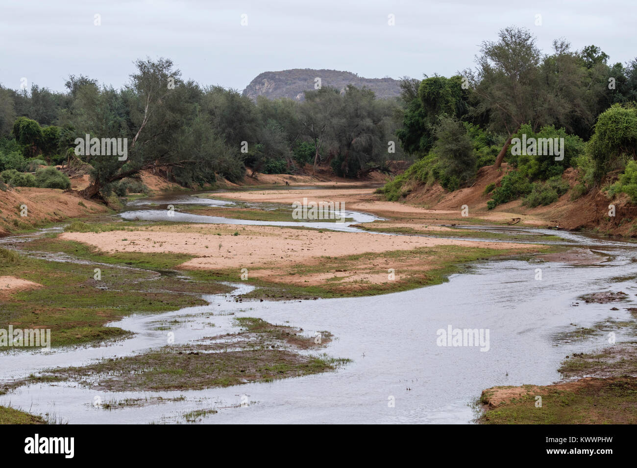 La rivière Luvuvhu, Pafuri, Kruger National Park, novembre Banque D'Images