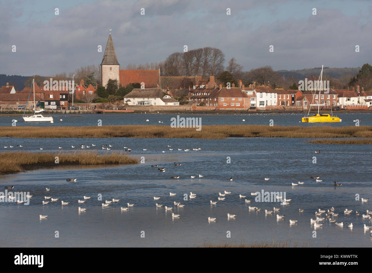 L'estuaire des oies migratrices sur à marée haute, Bosham Hoe, Bosham, West Sussex, Angleterre Banque D'Images