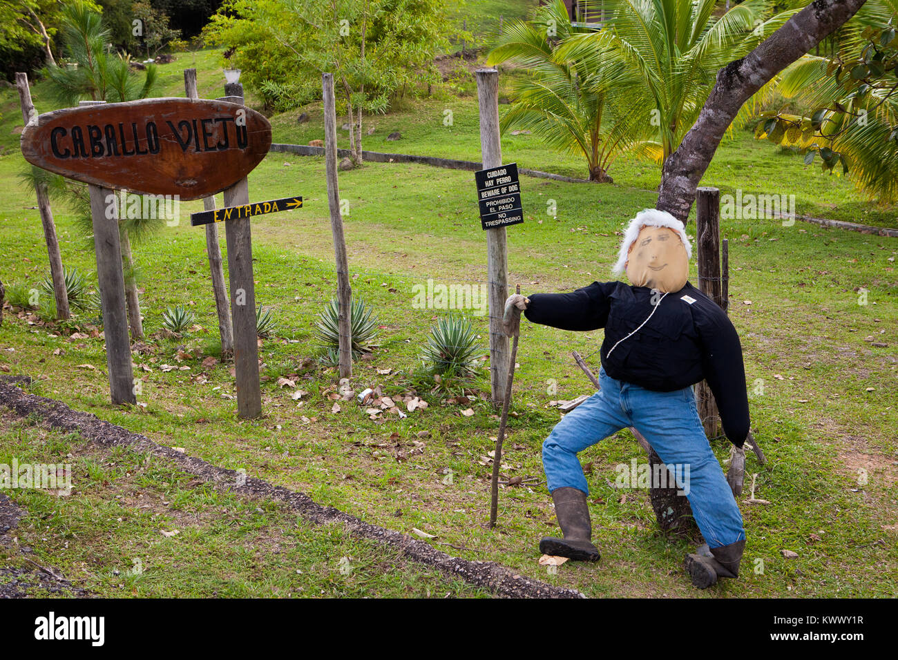 Un Muñeco Cocle dans la province, République du Panama. Un muñeco est brûlé sur le nouvel an. Banque D'Images