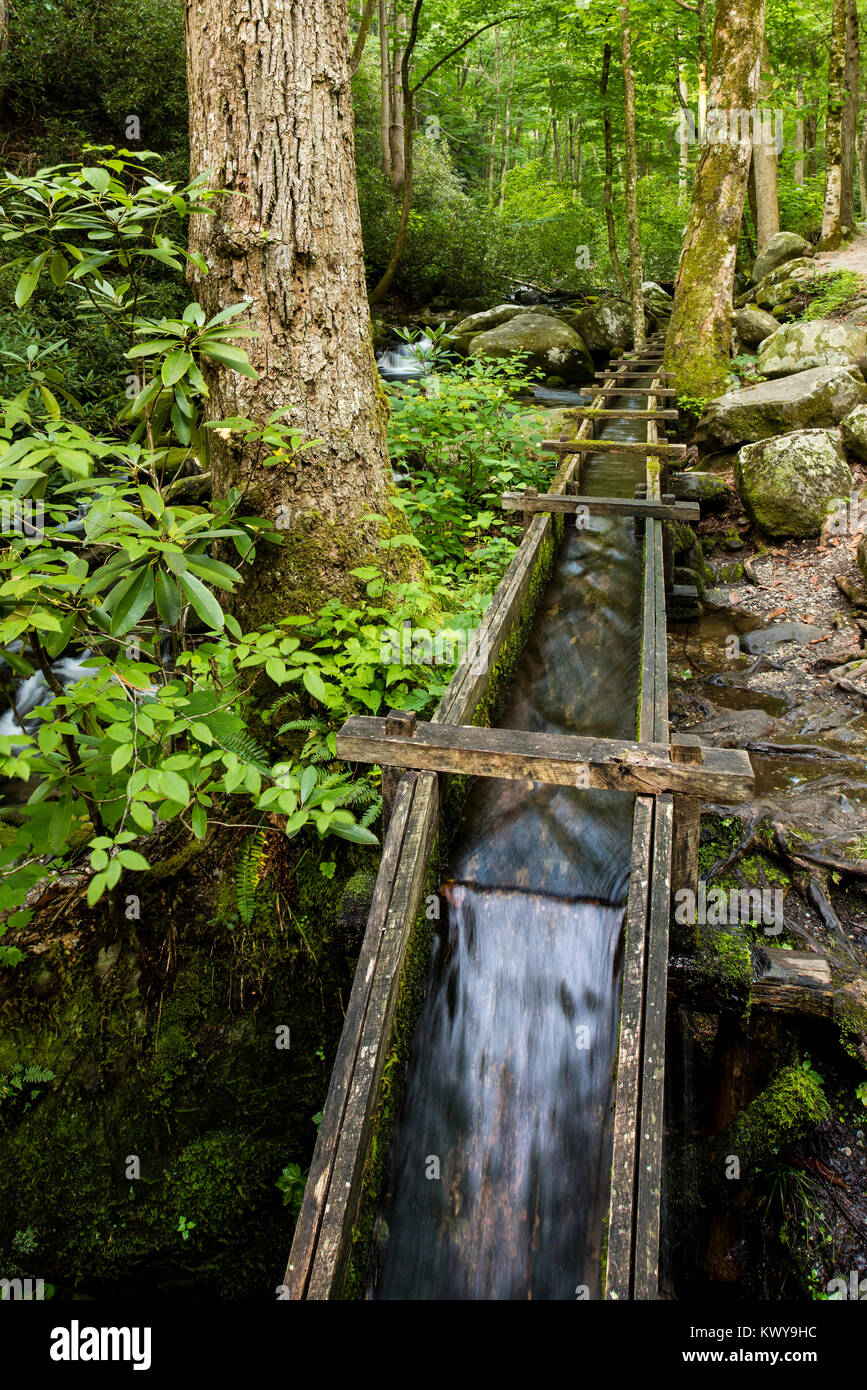 Creux de l'eau de l'eau amène à l'Alfred Reagan à remous mill le long de la rivière Roaring Fork dans le Great Smoky Mountains National Park. Banque D'Images