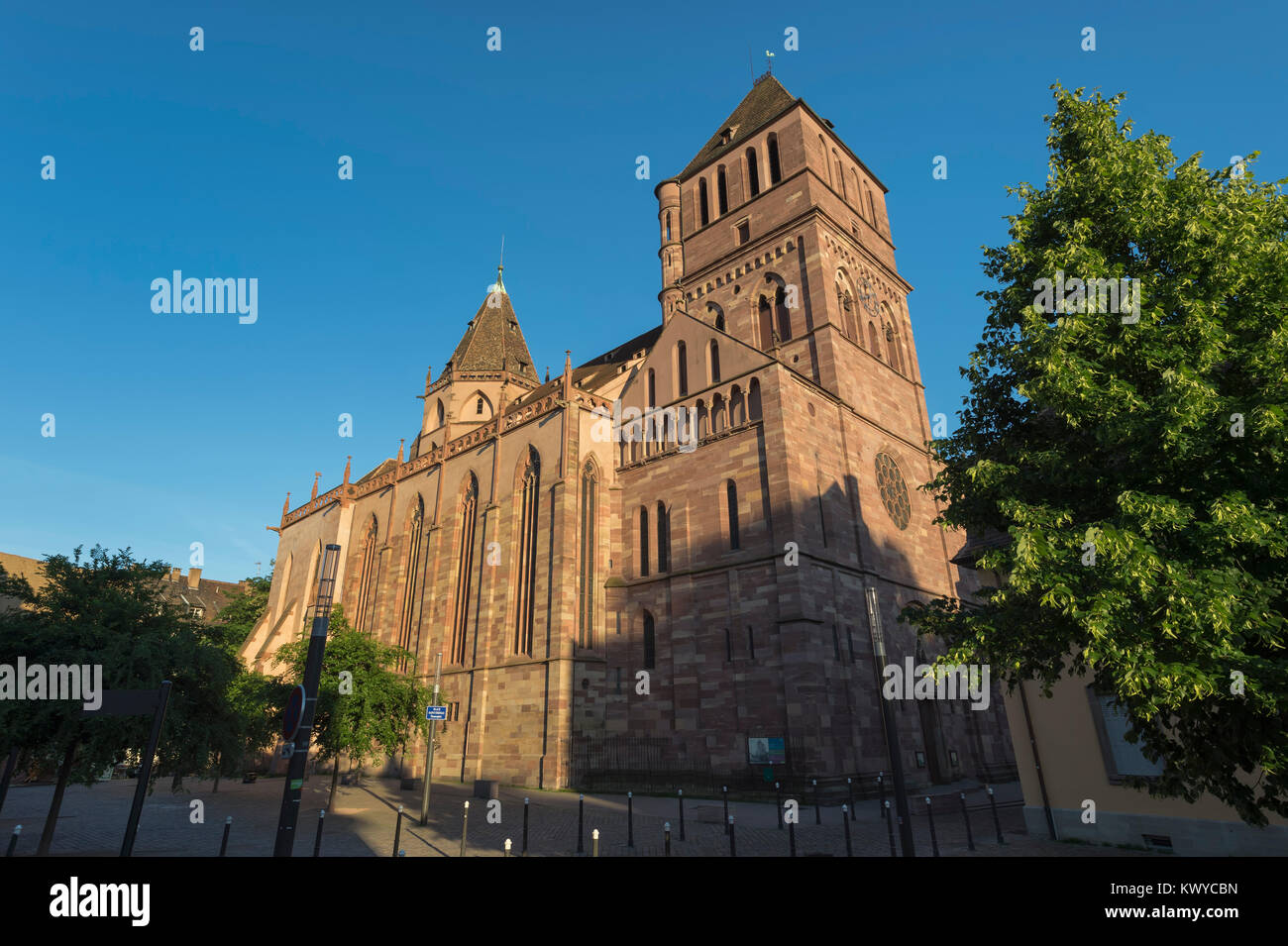 L'Église protestante Saint Thomas, Strasbourg, Alsace, Bas-Rhin, France Banque D'Images