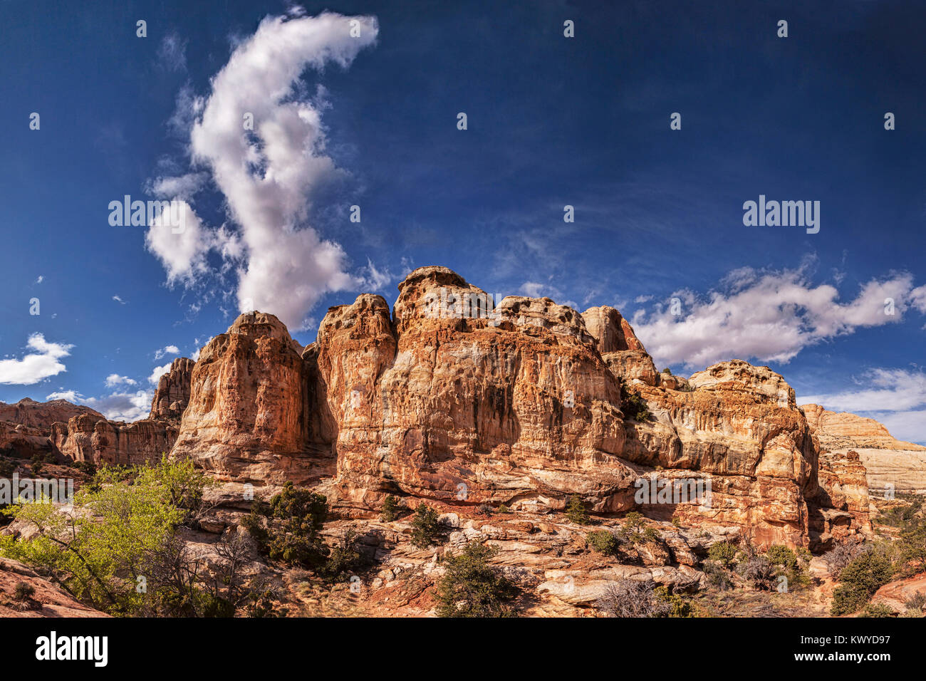 Dômes de grès érodées au Capitol Reef National Park, Utah, USA. Banque D'Images