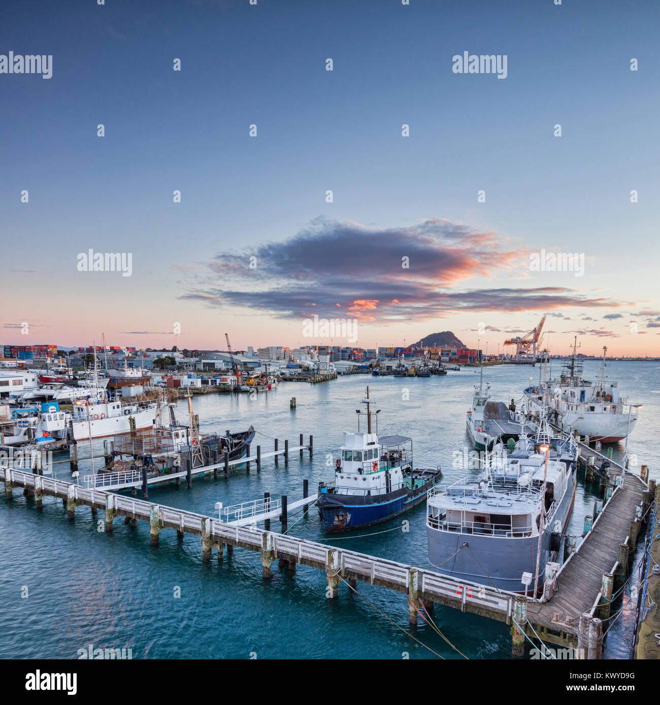 Port le plus grand de Nouvelle-Zélande, à Tauranga, Bay of Plenty, avec le Mont Maunganui, le volcan dormant qui domine la région, dans l'arrière-plan. Banque D'Images