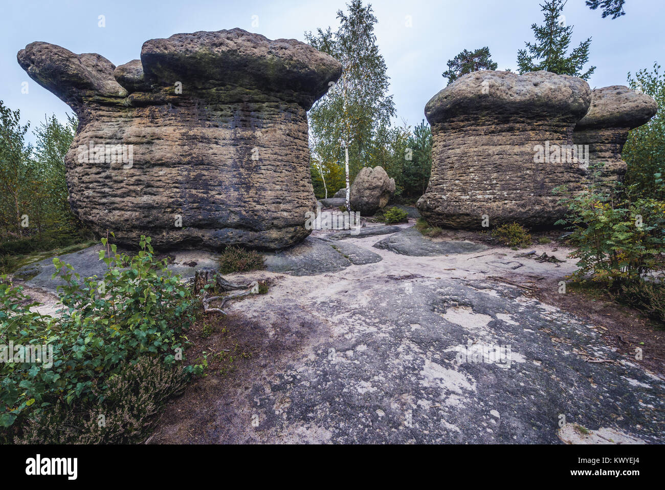 Les champignons de pierre rock formation in Broumovske steny (Broumov) Murs de montagnes et réserve naturelle, partie du tableau hory en République Tchèque Banque D'Images