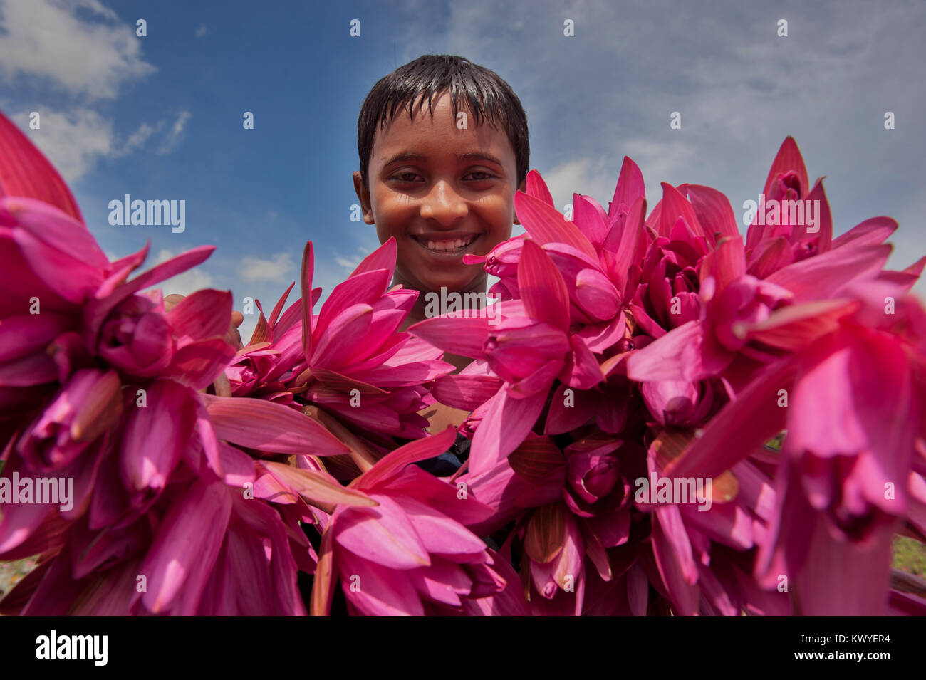 NARAYANGANJ, BANGLADESH - le 12 août 2015 : enfants bangladais pose pour portrait avec holding Red Water Lilies après les recueillir d'un lac en Narayang Banque D'Images