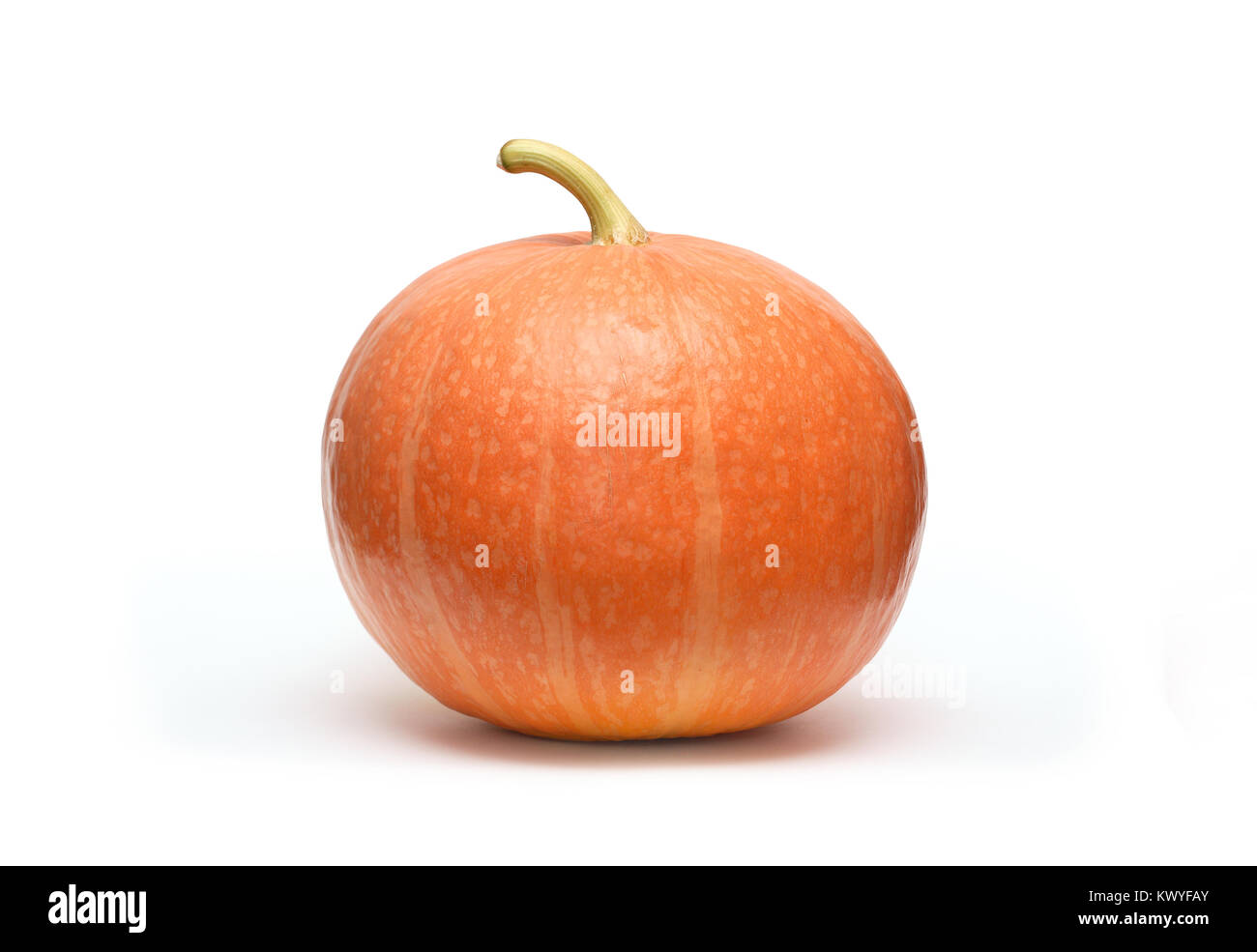 Grosse citrouille gingembre isolé sur fond blanc avec clipping path Banque D'Images