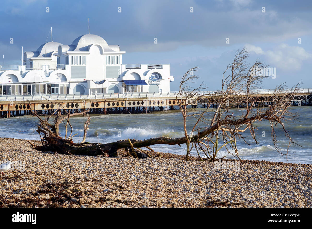 Un grand arbre est dans les débris rejetés sur la plage pendant une tempête eleanor comme vu ici près de South parade pier uk angleterre southsea Banque D'Images