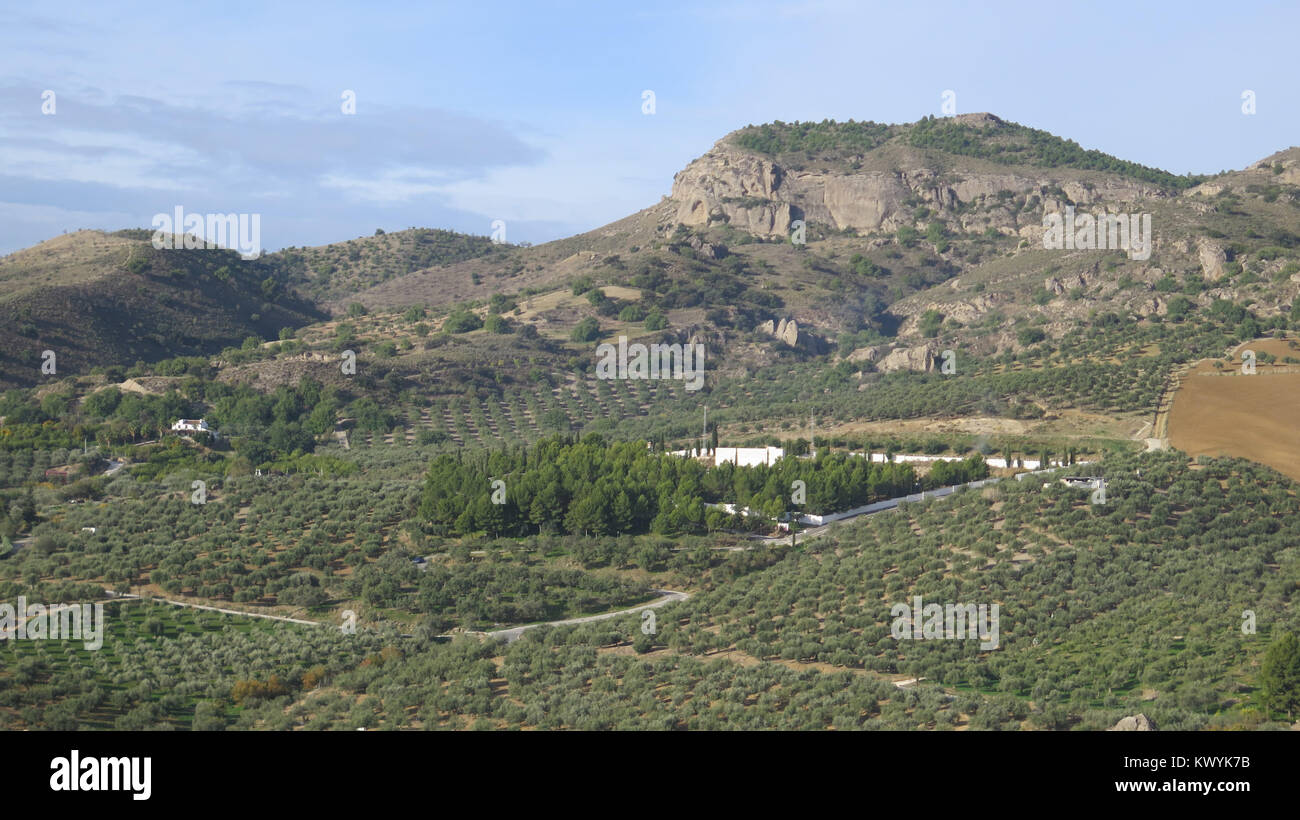 Vue sur la vallée à travers le cimetière de Alora au milieu des oliviers Banque D'Images