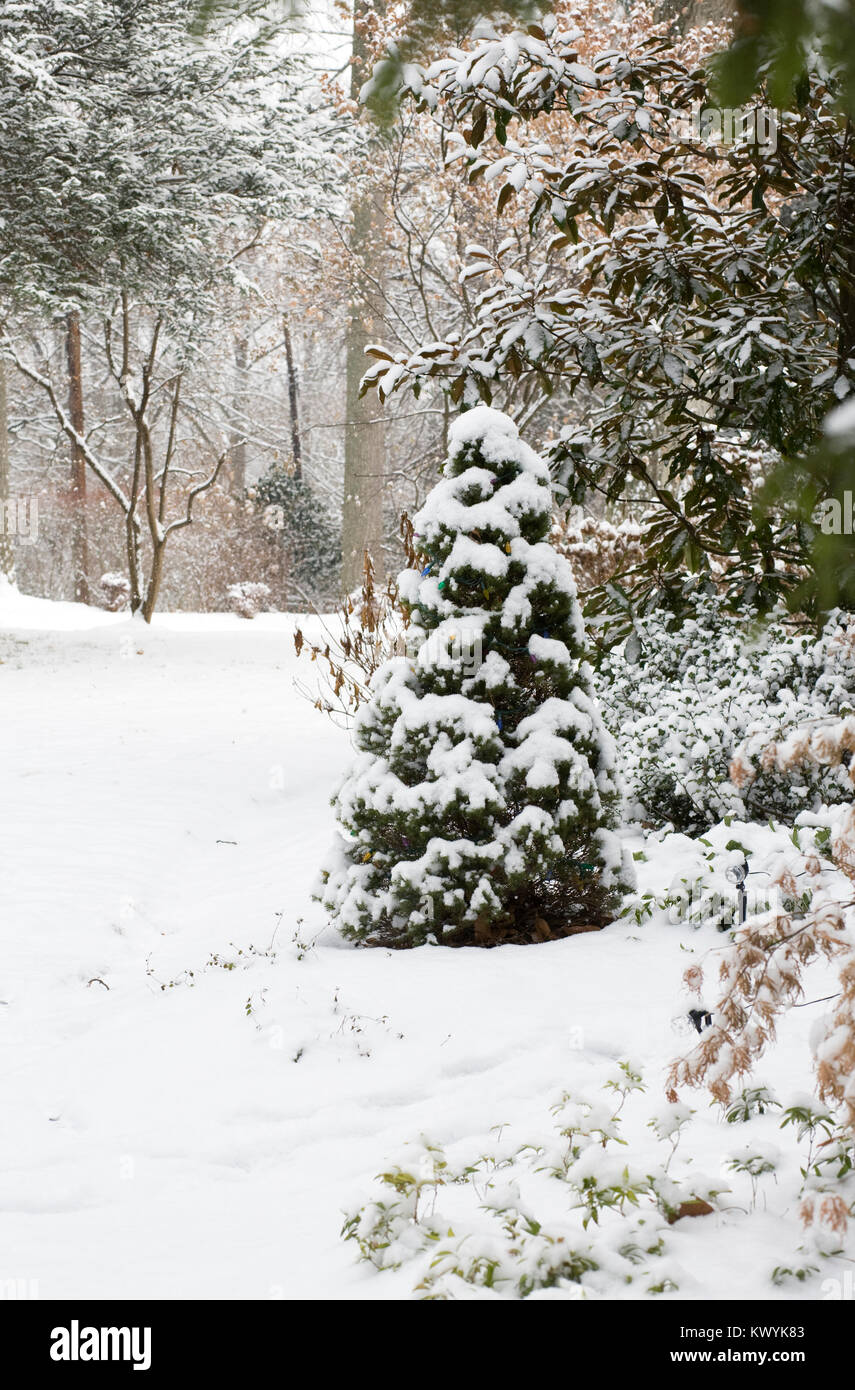 Neige dans le jardin. Banque D'Images