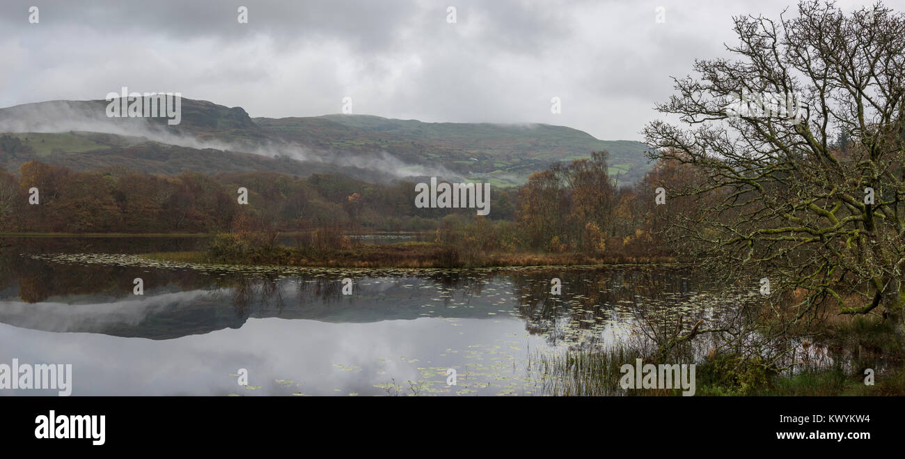 Automne paisible matin à Llyn Tecwyn de la FIAS, Snowdonia au nord du Pays de Galles. Un beau petit lac près de Harlech. Banque D'Images