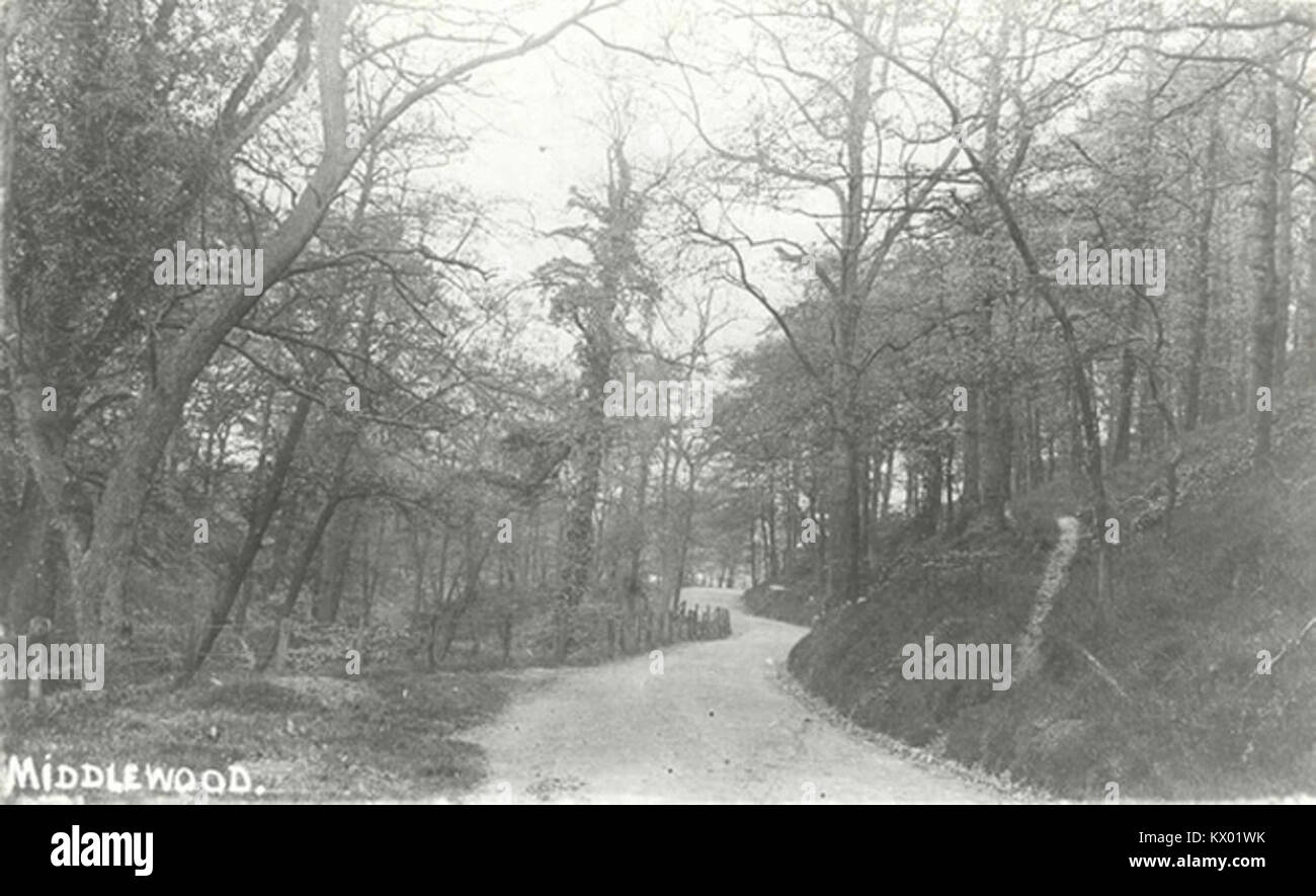 Middlewood, High Lane c.1910 Banque D'Images