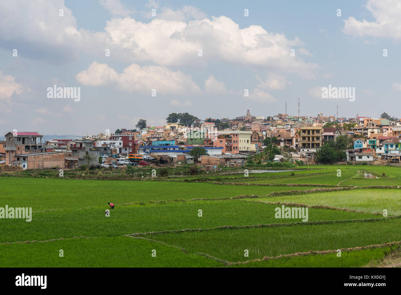 Maisons d'habitation couvrent la colline sur champ de riz. Antananarivo, Madagascar, l'Afrique. Banque D'Images