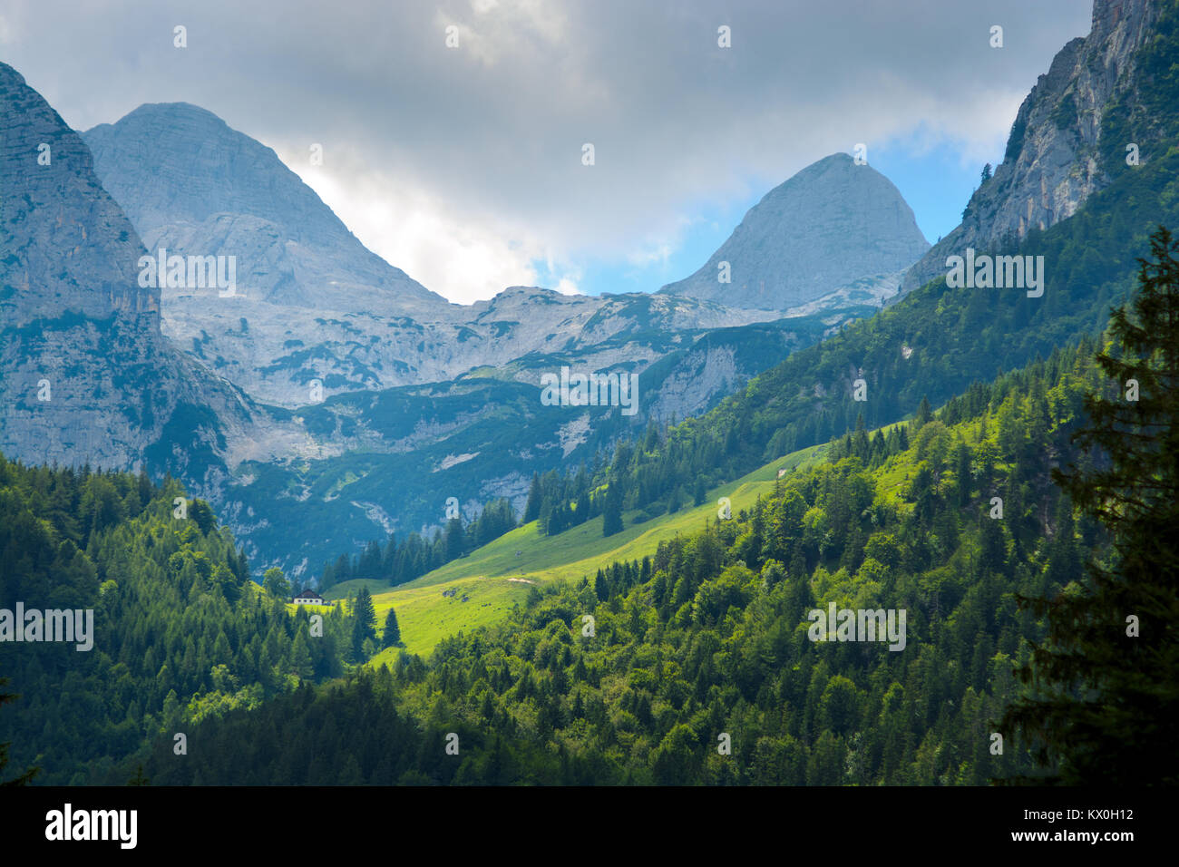 Green montagne ensoleillée plein high blue rocky mountain tops Banque D'Images