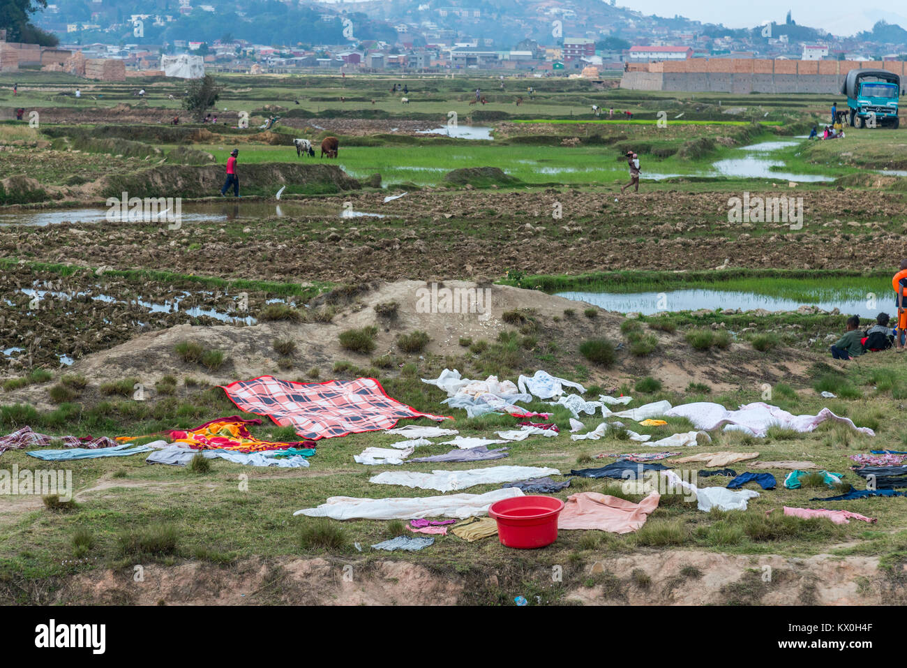 Les lavoirs répartis sur le sol pour sécher au soleil. Madagascar, l'Afrique. Banque D'Images