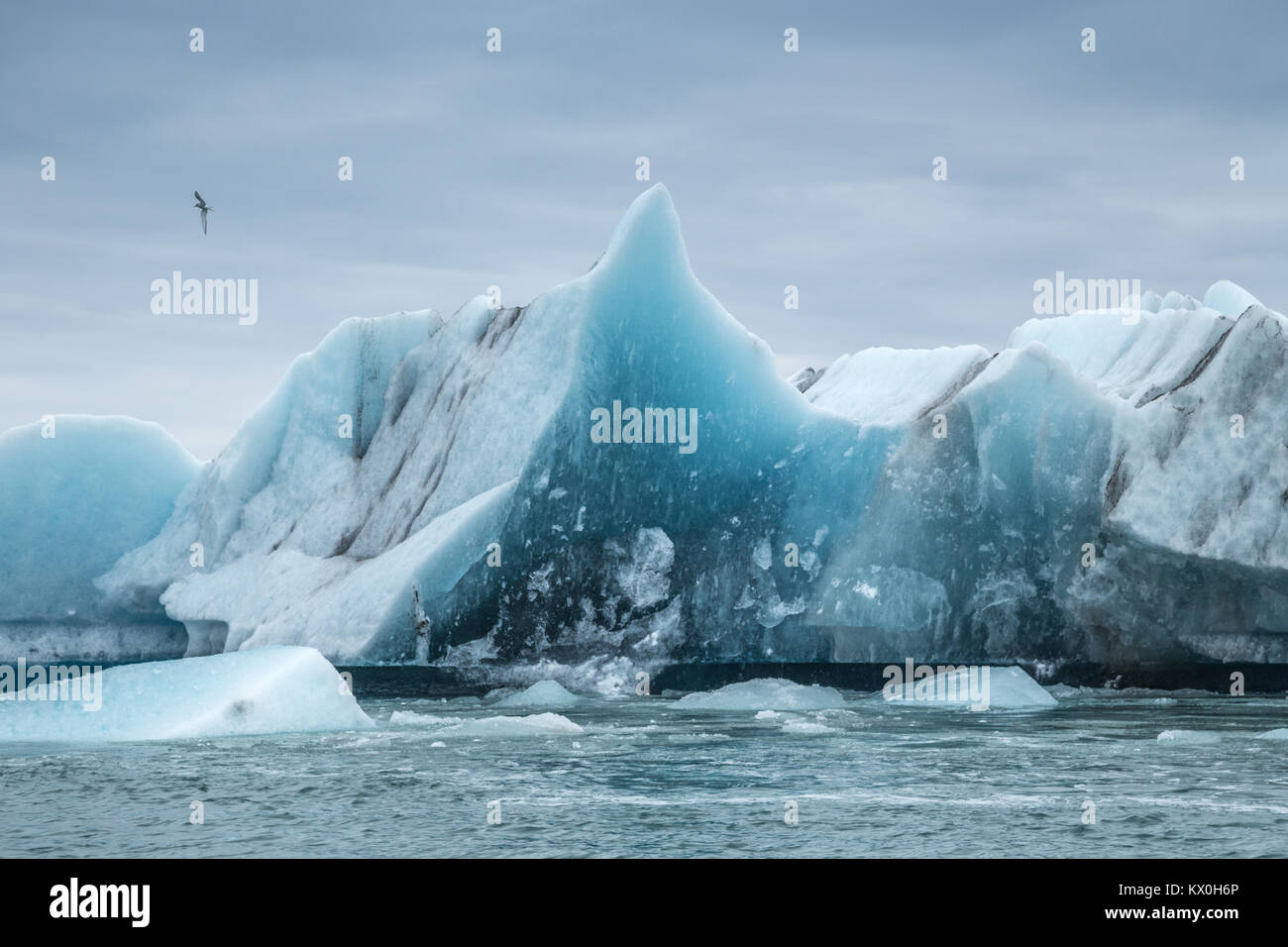 Des icebergs sur la lagune glaciaire du Jökulsárlón le vêlage du glacier Breiðamerkurjökull, bordant le parc national du Vatnajökull, dans le sud-est de l'Islande Banque D'Images