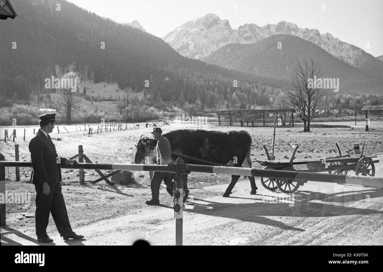 Photographie du poste frontalier de Rateče en 1964, situé à la frontière entre la Slovénie et l'Italie, montrant les installations douanières et les opérations de contrôle aux frontières au milieu du XXe siècle. Banque D'Images