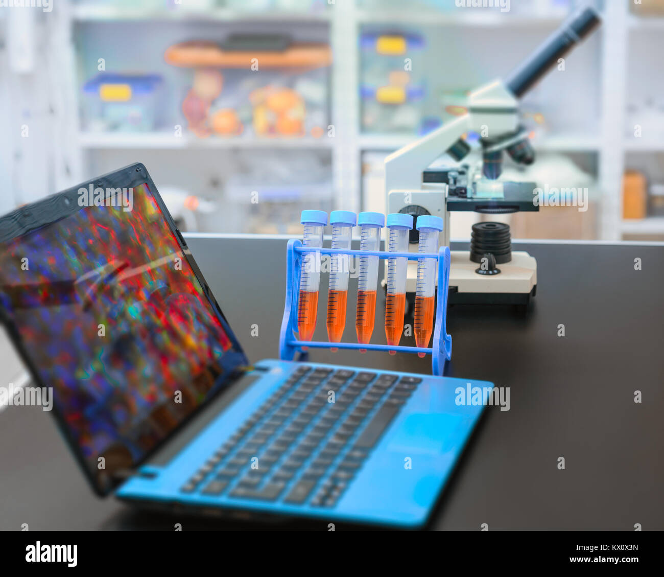 Ordinateur portable et microscope numérique avec image microscopique dans l'installation de recherche Banque D'Images