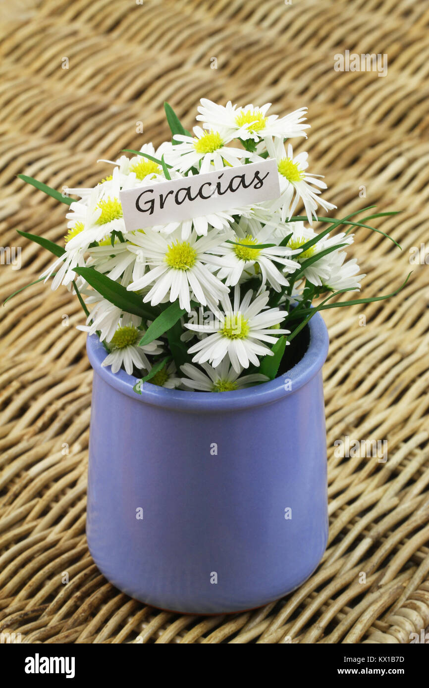 Gracias (merci en espagnol) avec daisy fleurs dans vase sur surface en osier Banque D'Images