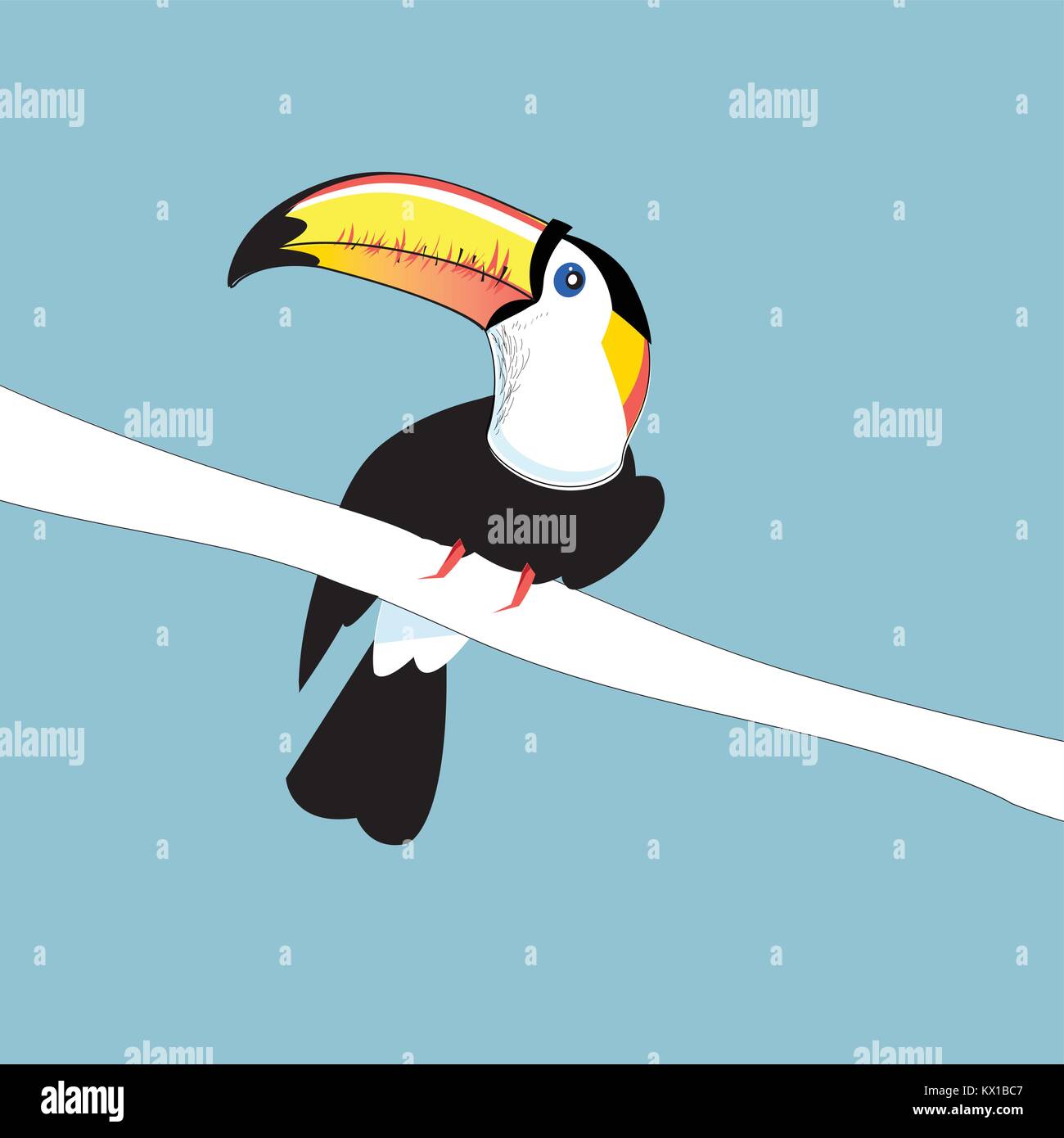 Couleur du dessin d'oiseaux drôle tuccane sur fond bleu Illustration de Vecteur