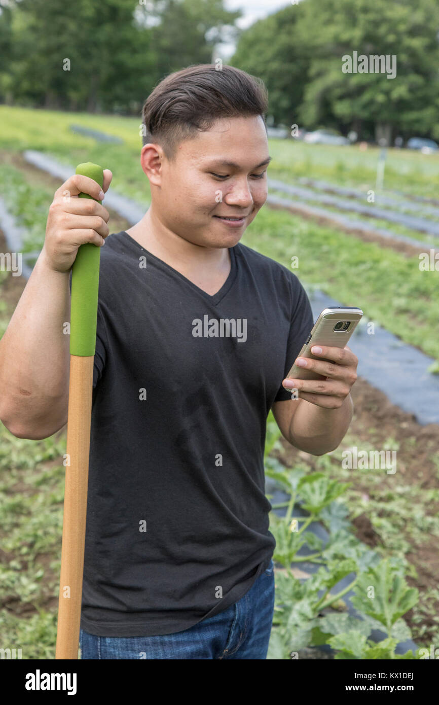L'homme en utilisant son téléphone portable tout en travaillant dans un jardin potager Banque D'Images