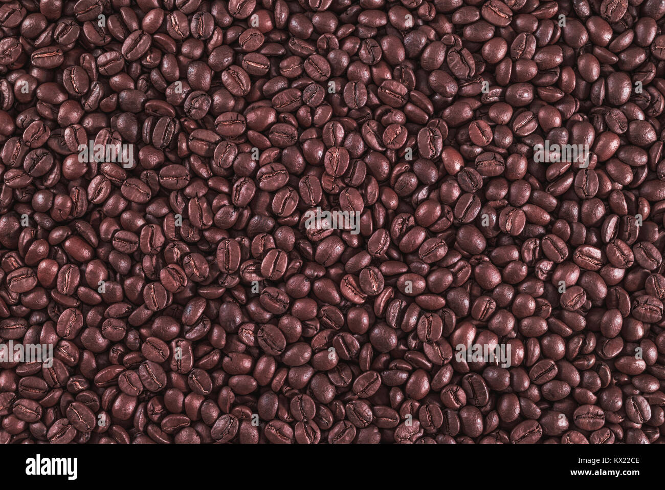 Les grains de café torréfié, full frame. Banque D'Images