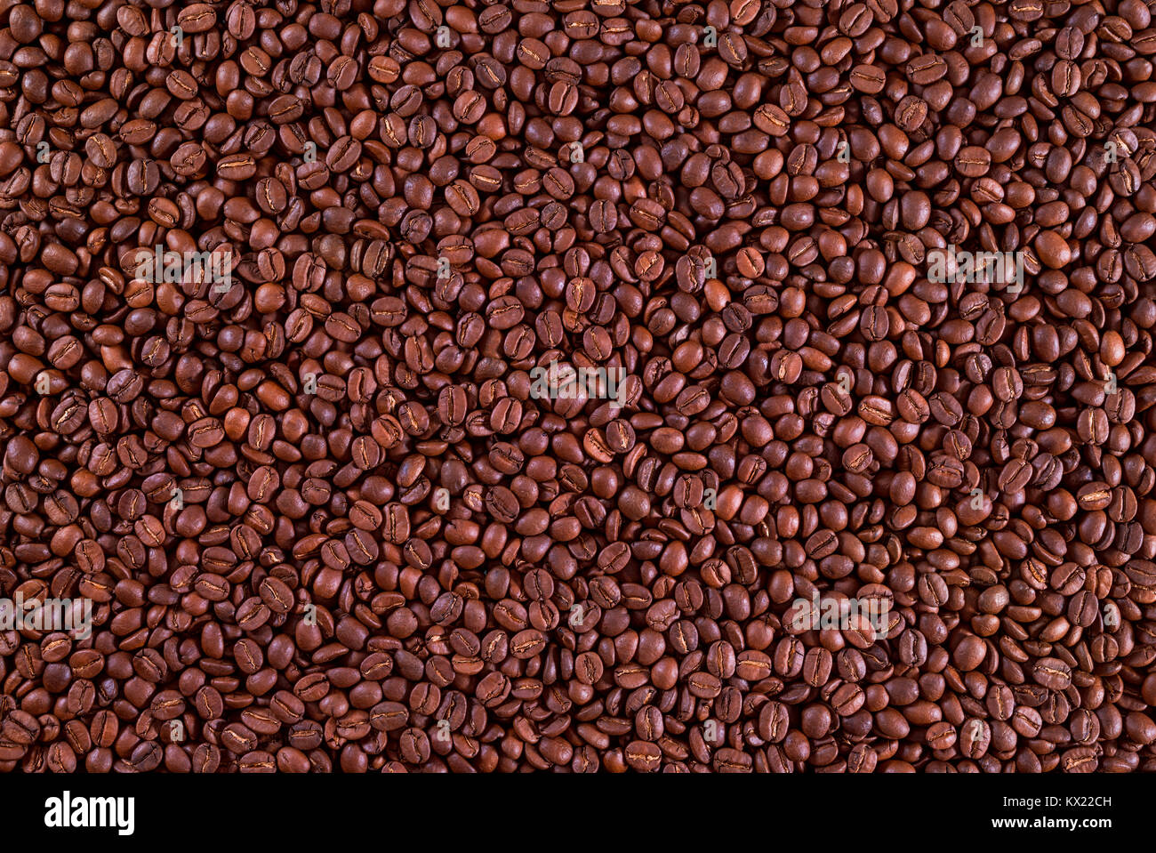 Les grains de café torréfié, full frame. Banque D'Images