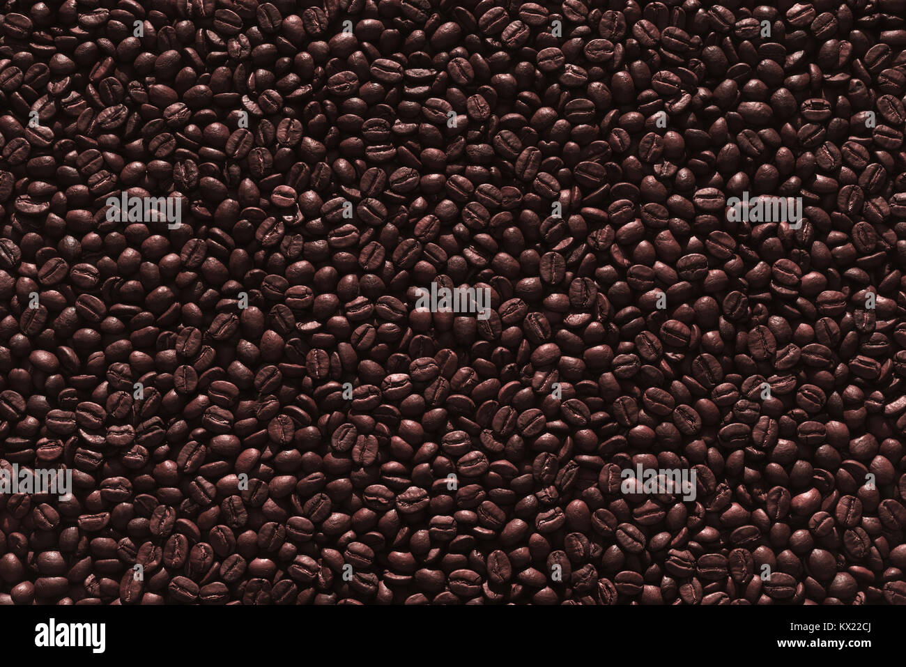 Les grains de café torréfié, full frame. Banque D'Images