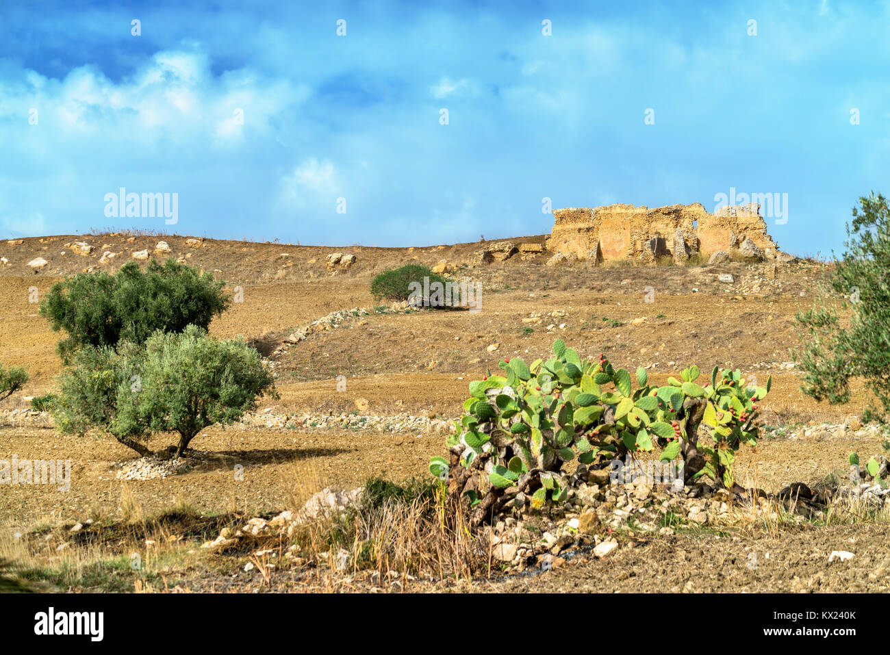 Avis de Dougga, une ancienne ville romaine en Tunisie Banque D'Images