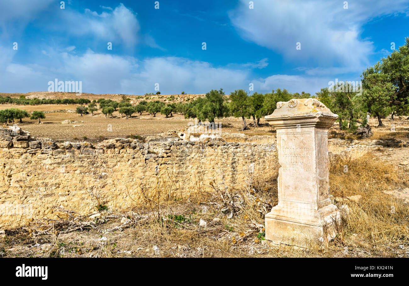 Avis de Dougga, une ancienne ville romaine en Tunisie Banque D'Images