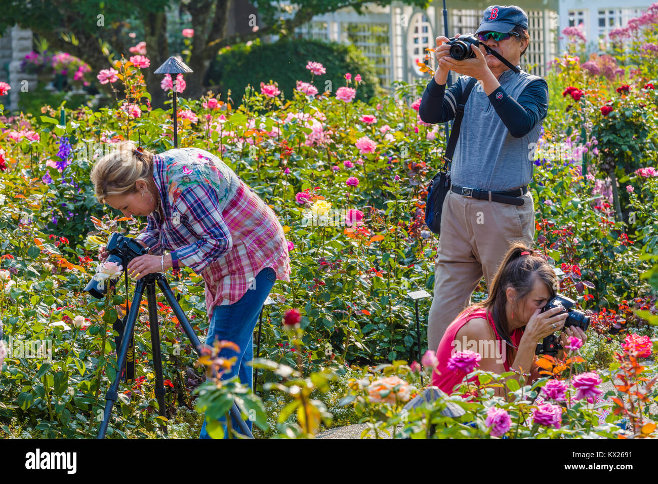 Des photographes à Butchart Gardens à Victoria, Colombie-Britannique, Canada Lieu historique national du Canada Banque D'Images